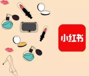 小紅書(shū)如何種草推廣 探品牌與產(chǎn)品管理的全面指南